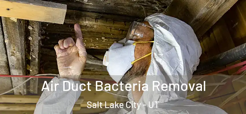 Air Duct Bacteria Removal Salt Lake City - UT