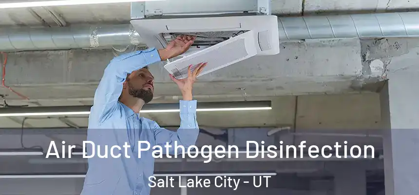 Air Duct Pathogen Disinfection Salt Lake City - UT