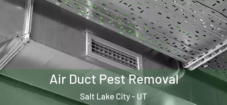 Air Duct Pest Removal Salt Lake City - UT
