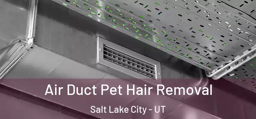 Air Duct Pet Hair Removal Salt Lake City - UT