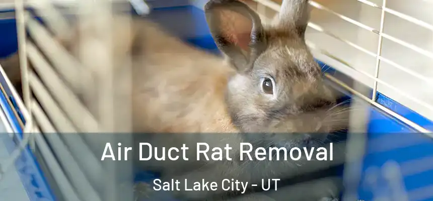 Air Duct Rat Removal Salt Lake City - UT