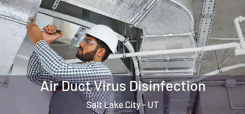 Air Duct Virus Disinfection Salt Lake City - UT