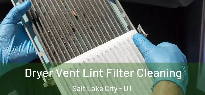 Dryer Vent Lint Filter Cleaning Salt Lake City - UT