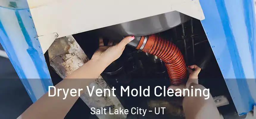 Dryer Vent Mold Cleaning Salt Lake City - UT