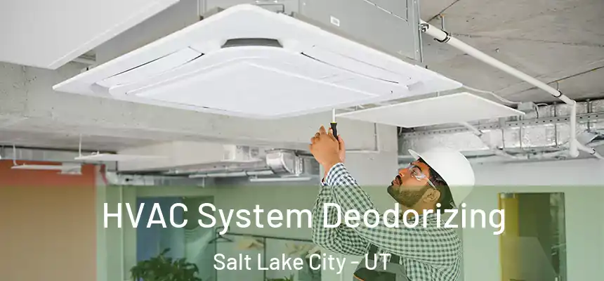 HVAC System Deodorizing Salt Lake City - UT