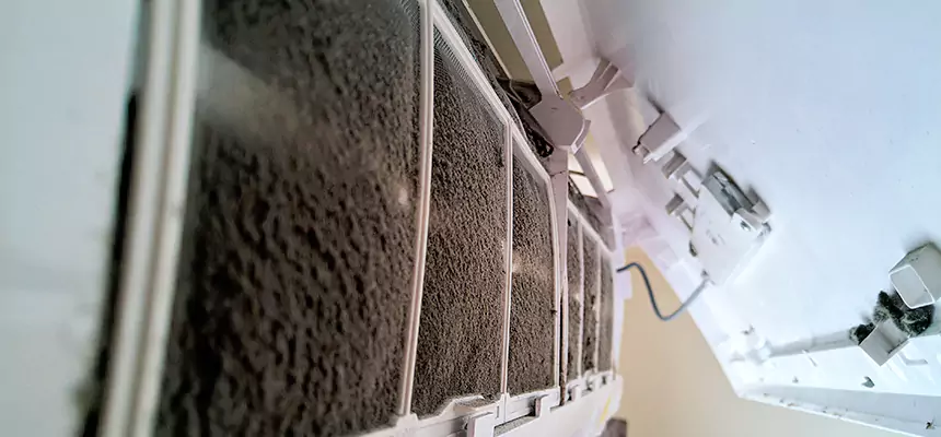 Preventive Air Duct Bacteria Removal in Salt Lake City