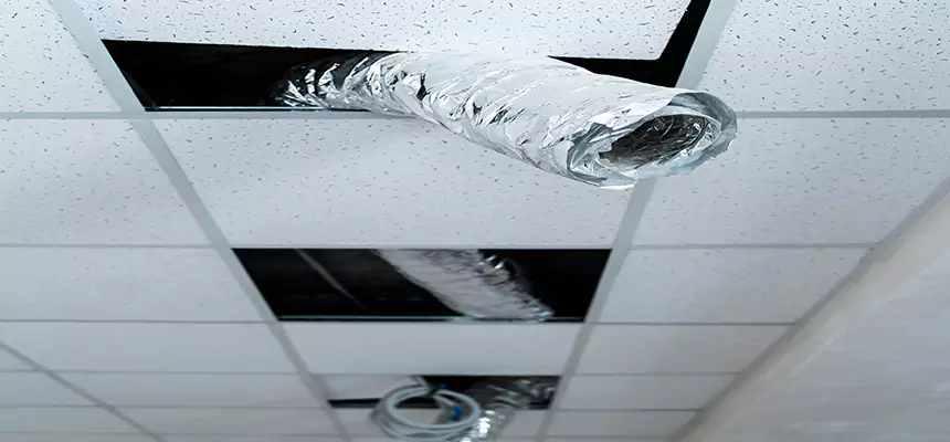 Affordable HVAC Sanitizing After Pest Removal in Salt Lake City