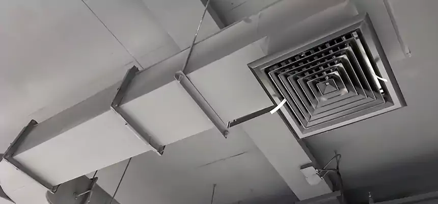 Restorative Allergy Relief Vent Cleaning – Coil, Blower & Housing Detail in Salt Lake City