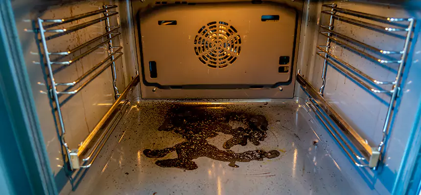 Our Dryer Vent Mold Cleaning Services in Salt Lake City, UT