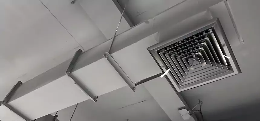 Our Rodent Droppings In Vents Services in Salt Lake City, UT