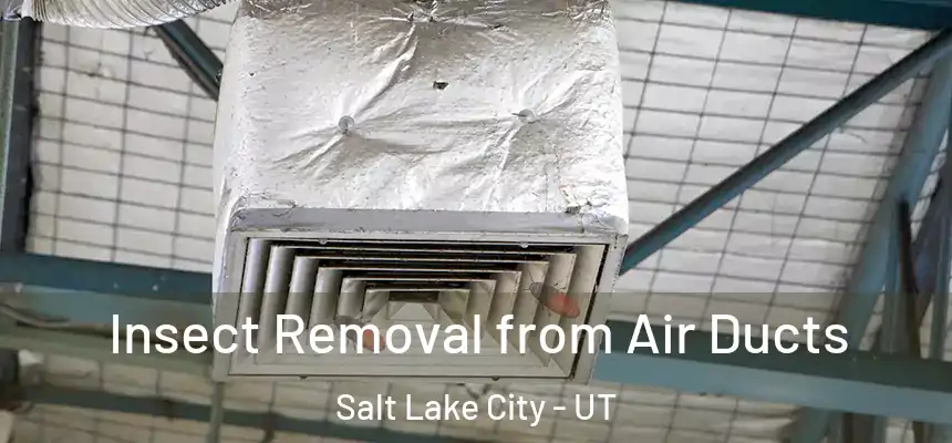 Insect Removal from Air Ducts Salt Lake City - UT