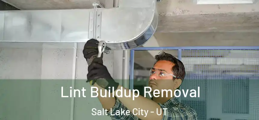 Lint Buildup Removal Salt Lake City - UT