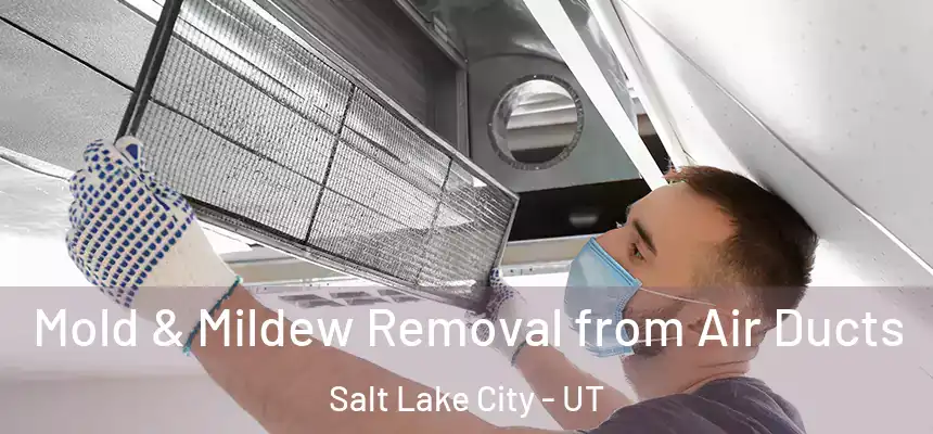 Mold & Mildew Removal from Air Ducts Salt Lake City - UT