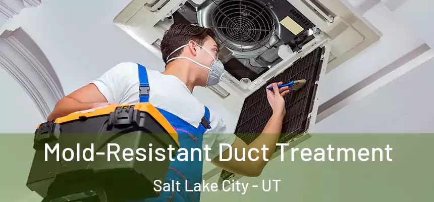  Mold-Resistant Duct Treatment Salt Lake City - UT