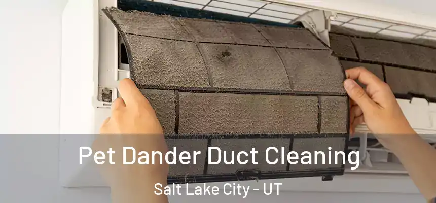 Pet Dander Duct Cleaning Salt Lake City - UT