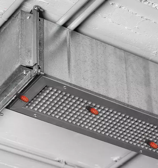 About Air Duct Cockroach Removal in Salt Lake City, UT