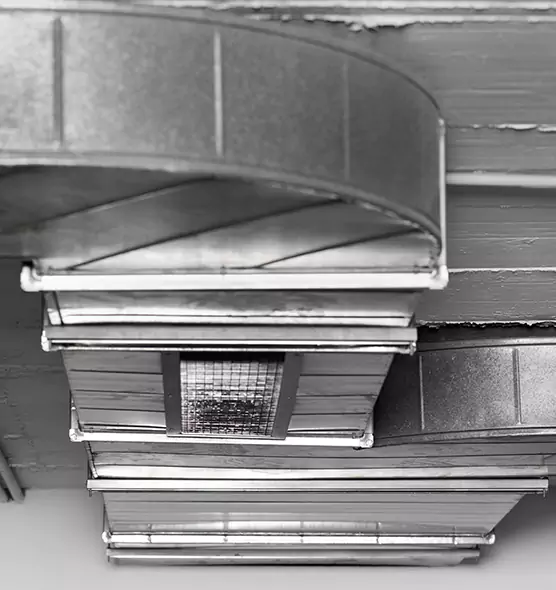 Professional Air Duct Pest Removal in Salt Lake City, UT