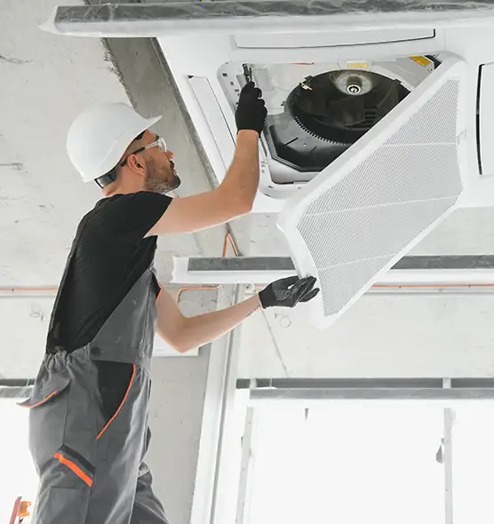 About Air Duct Rodent Removal in Salt Lake City, UT