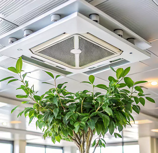 Why Homeowners & Businesses Trust Us in Salt Lake City, UT?